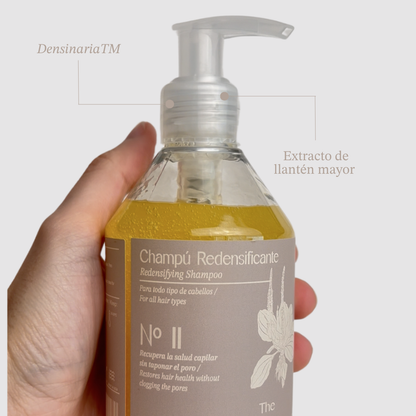 Hair Density Treatment